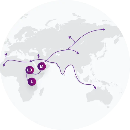 E2 Migration Map