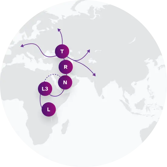 T Migration Map