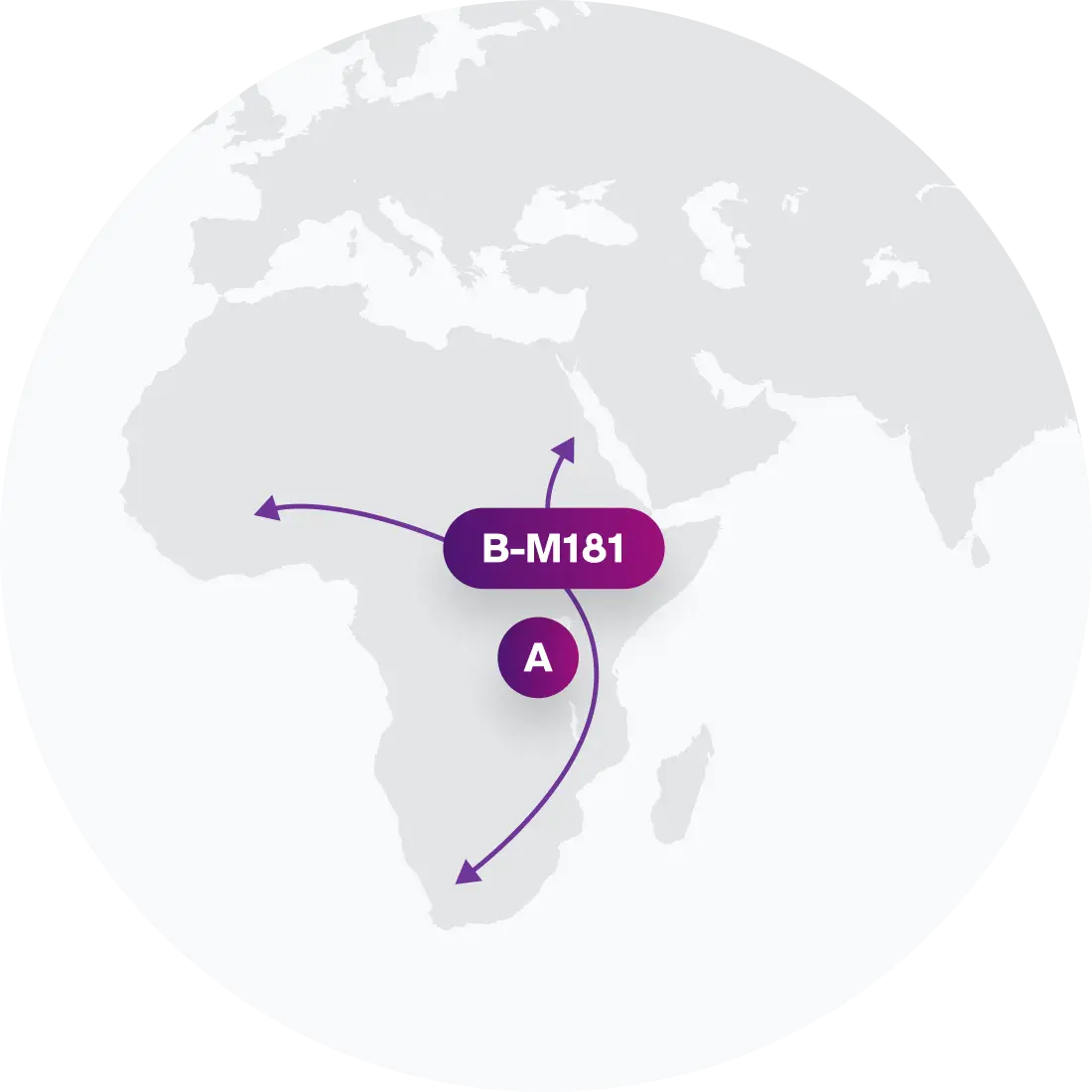 B-M181 Migration Map
