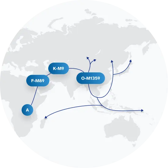 Bhatti Surname Last Name Meaning Origin Family History