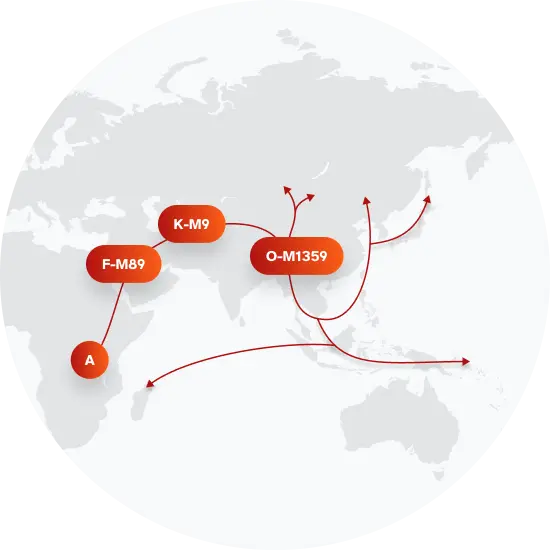 Cha Surname Last Name Meaning Origin Family History 2023