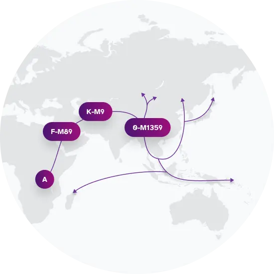 O-F8 Migration Map