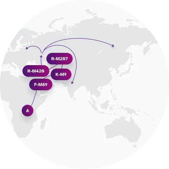 R-M459 Migration Map